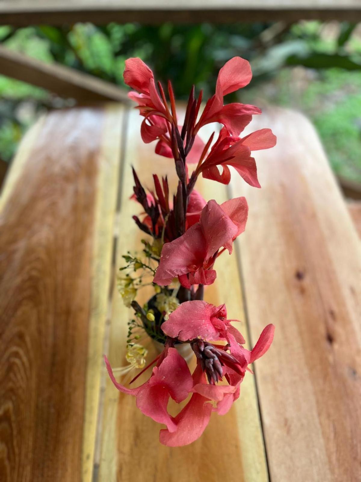 Purachata Ecolodge イキトス エクステリア 写真