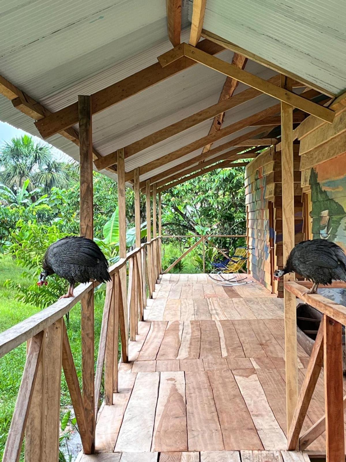 Purachata Ecolodge イキトス エクステリア 写真